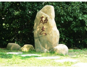 校园八景之励志奇石