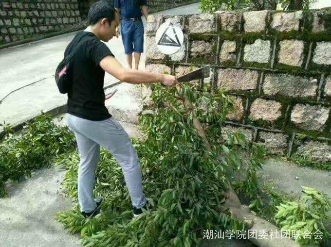 ��ί��ʦ��骰�æ������֦