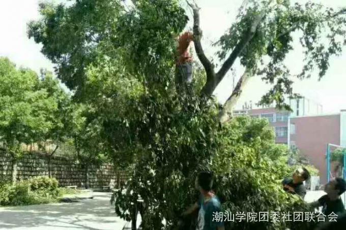 ��������������֦