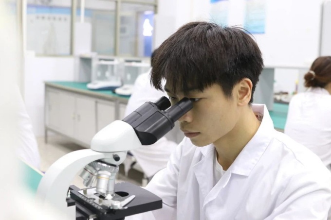 微生物实验教学场景